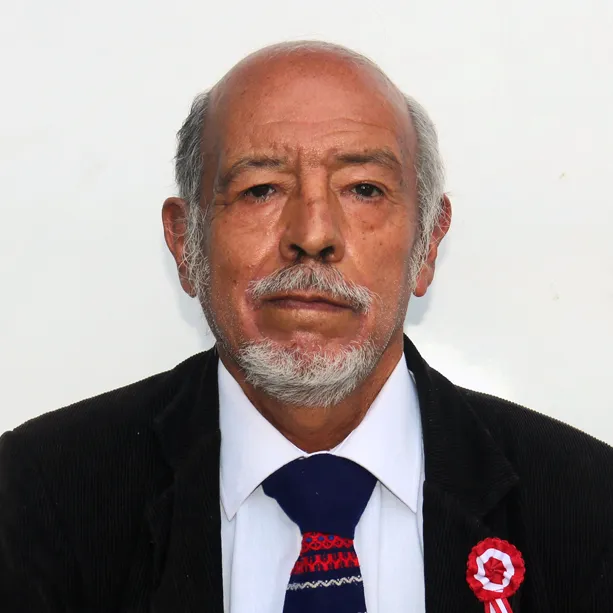 ALFONSO SULCA
